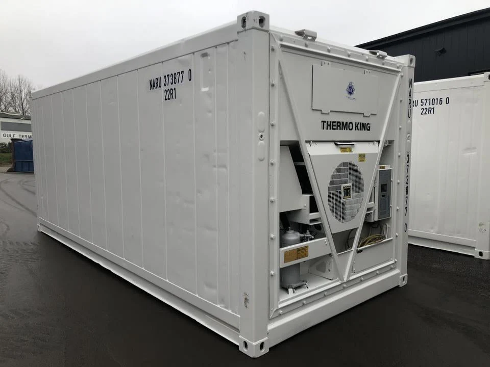 CONTENEDOR REFRIGERADO THERMO KING DE 20 PIES ( NUEVO ) - Imagen 3